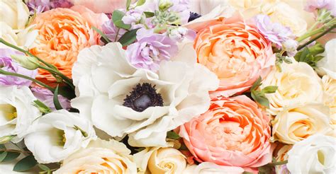 Floral Studio Florist Hull .